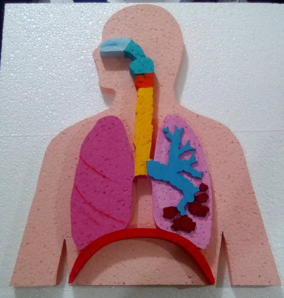 Maqueta escolar en telgopor